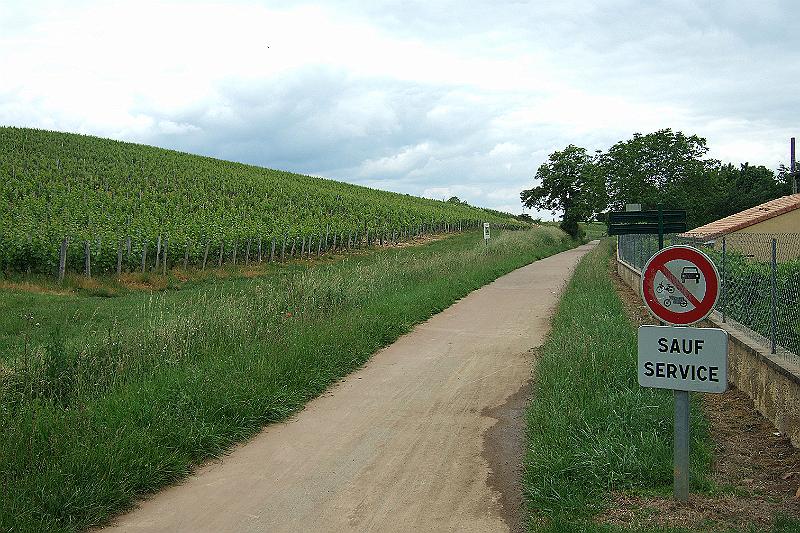 2010-06- (74).JPG - Bei km 16 treffen wir wieder mal auf ein "grünes Gleis", auf dem wir jetzt gut 6 km entlang laufen